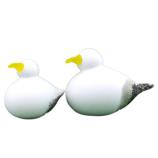 GULLS