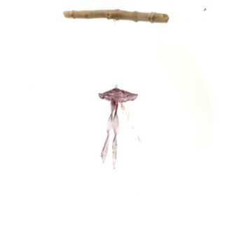 JELLYFISH mobile #3