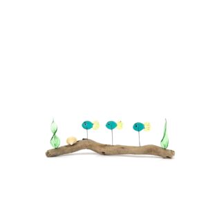 DRIFTWOOD MINNOWS #2