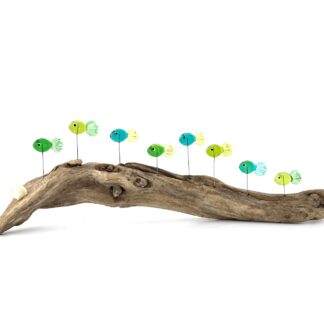 DRIFTWOOD MINNOWS #3