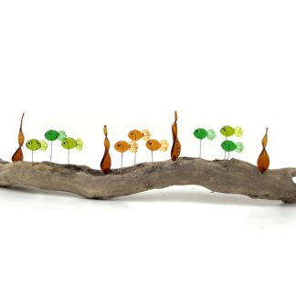 DRIFTWOOD MINNOWS #10