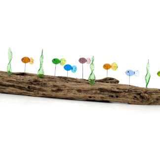 DRIFTWOOD MINNOWS #11