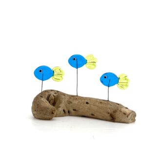 DRIFTWOOD MINNOWS #20