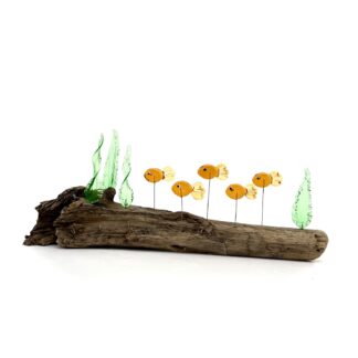 DRIFTWOOD MINNOWS #13