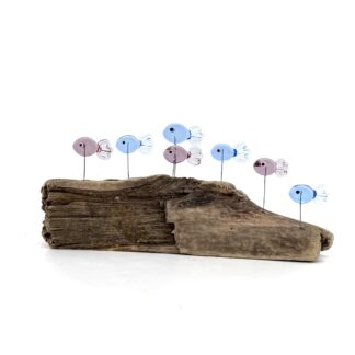 DRIFTWOOD MINNOWS #19