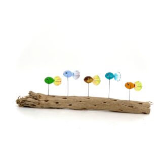DRIFTWOOD GUPPIES #14