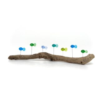 DRIFTWOOD MINNOWS #15