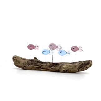 DRIFTWOOD MINNOWS #18